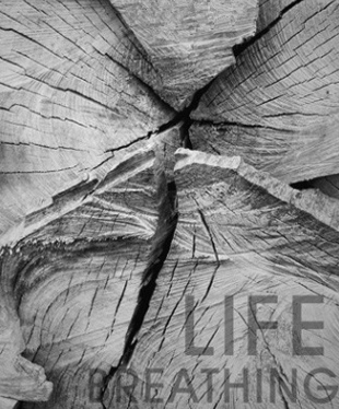 �մɽ��N�̵ġ�ʹ�c����λ���?